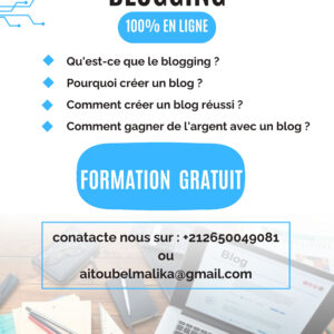 Free Online Blogging Training!